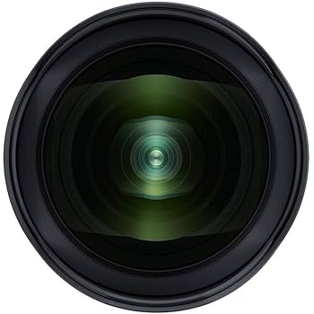 Amazon | Tamron SP 15-30mm f/2.8 Di VC USD G2 レンズ Nikon F
